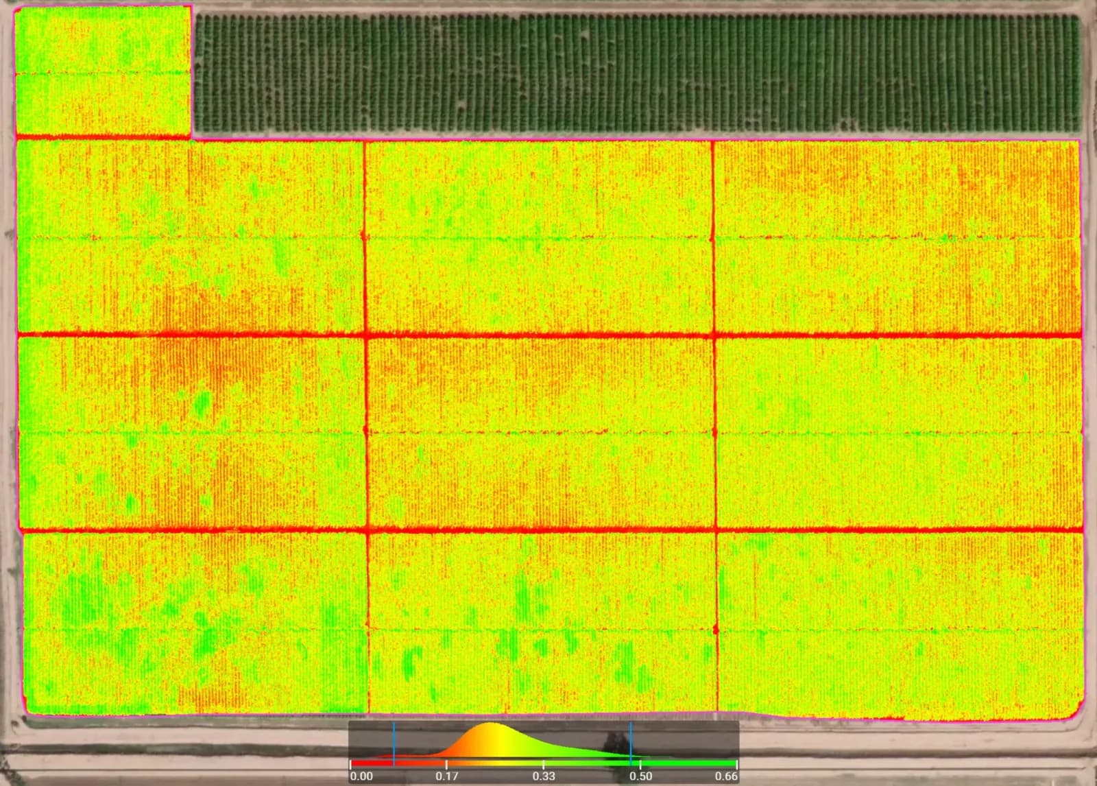 Mapa NDVI generado a partir de un vuelo con dron sobre un cultivo, con zonas verdes de alto vigor y zonas rojas de bajo vigor